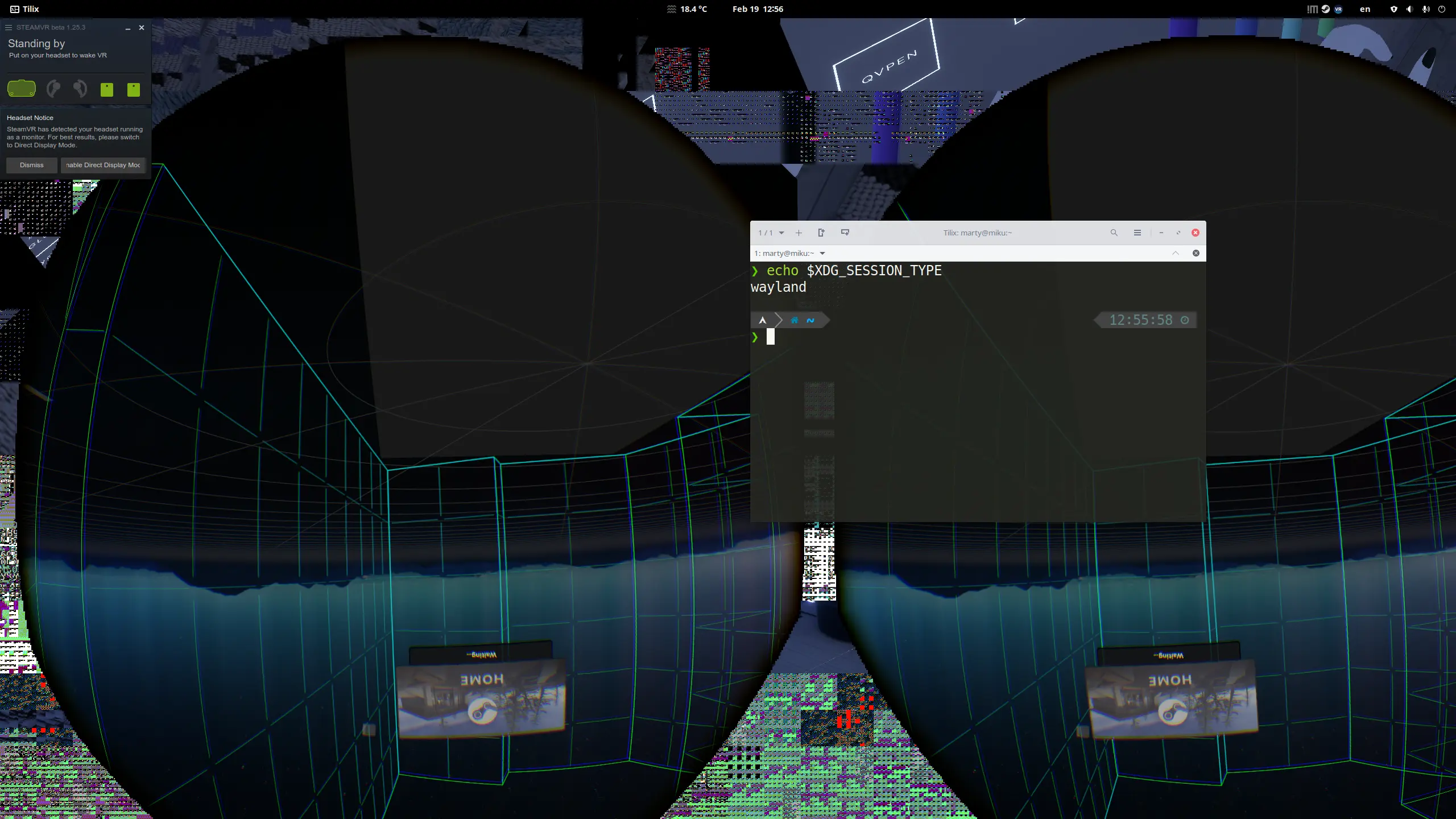Serious corruption in the VR view. On Gnome 42 Wayland session.