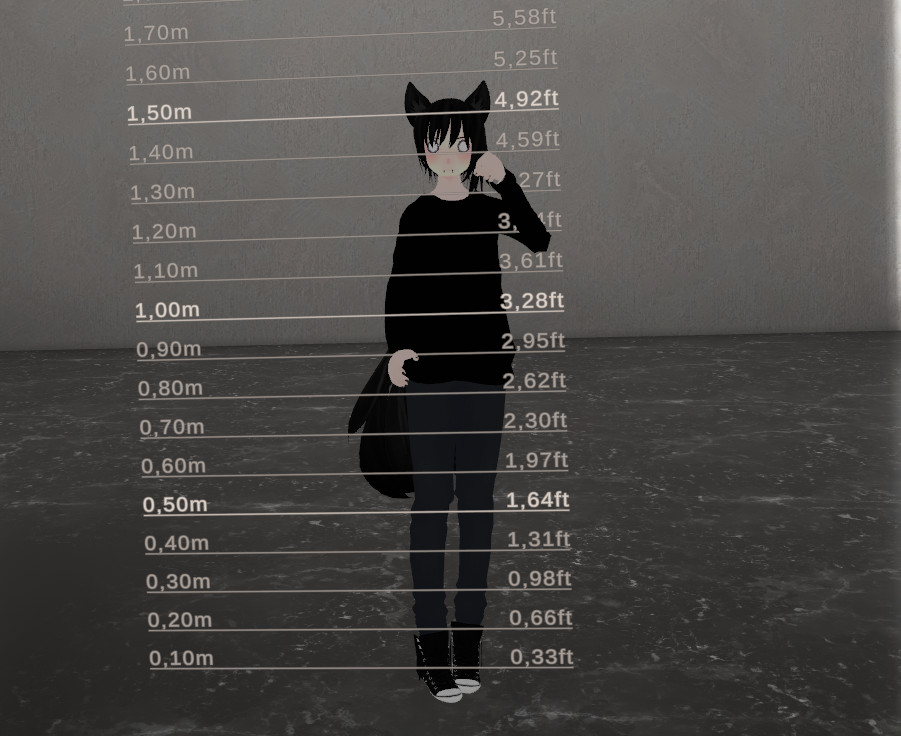 Measuring my avatar's height